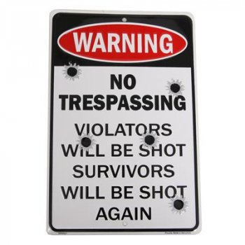 NO TRESPASSING SKILT