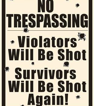 NO TRESPASSING SKILT